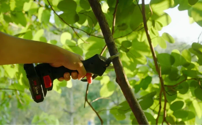 Cutting a tree branch